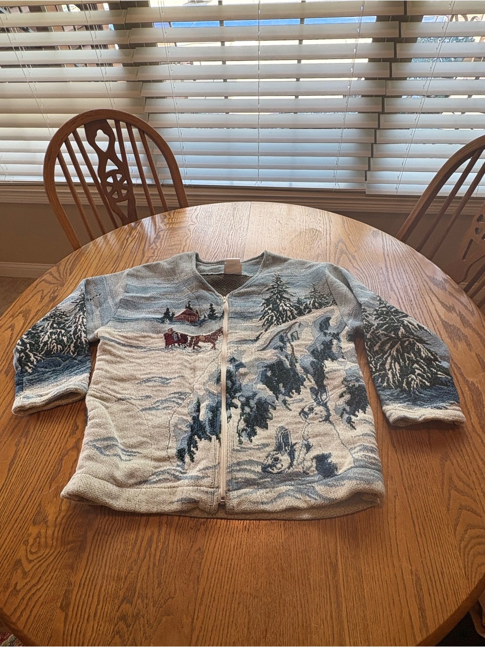 Art Unlimited Vintage Tapestry Jacket Snow Sleigh Scene Winter 2XL XXL